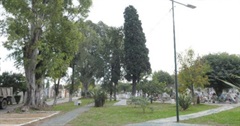 Visita al cementerio